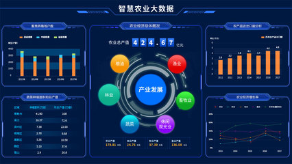 智慧農業(yè)數(shù)據(jù)處理服務 驅動數(shù)字鄉(xiāng)村建設的新引擎